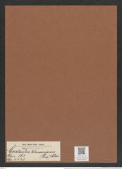 Cerataulus johnsonianus (Grev.) Cleve (de-Toni-Nr.: Genus 173, Species 4441) Zeichnungen Sammlung Grunow Mappe 04372 (Herbarium_W_Grunow_drawings_Folder_04372)